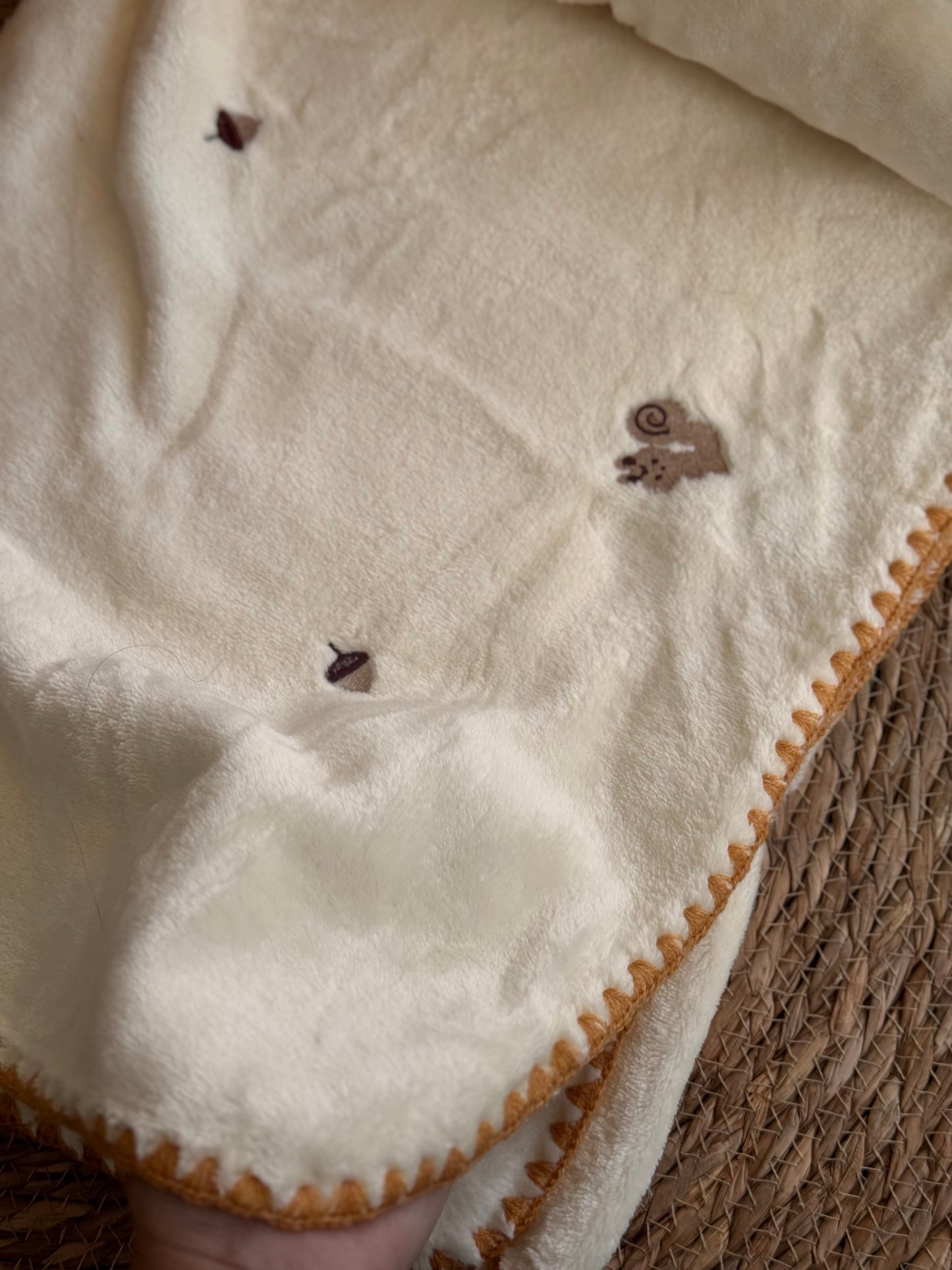 Woodland Friends Velvet Blanket