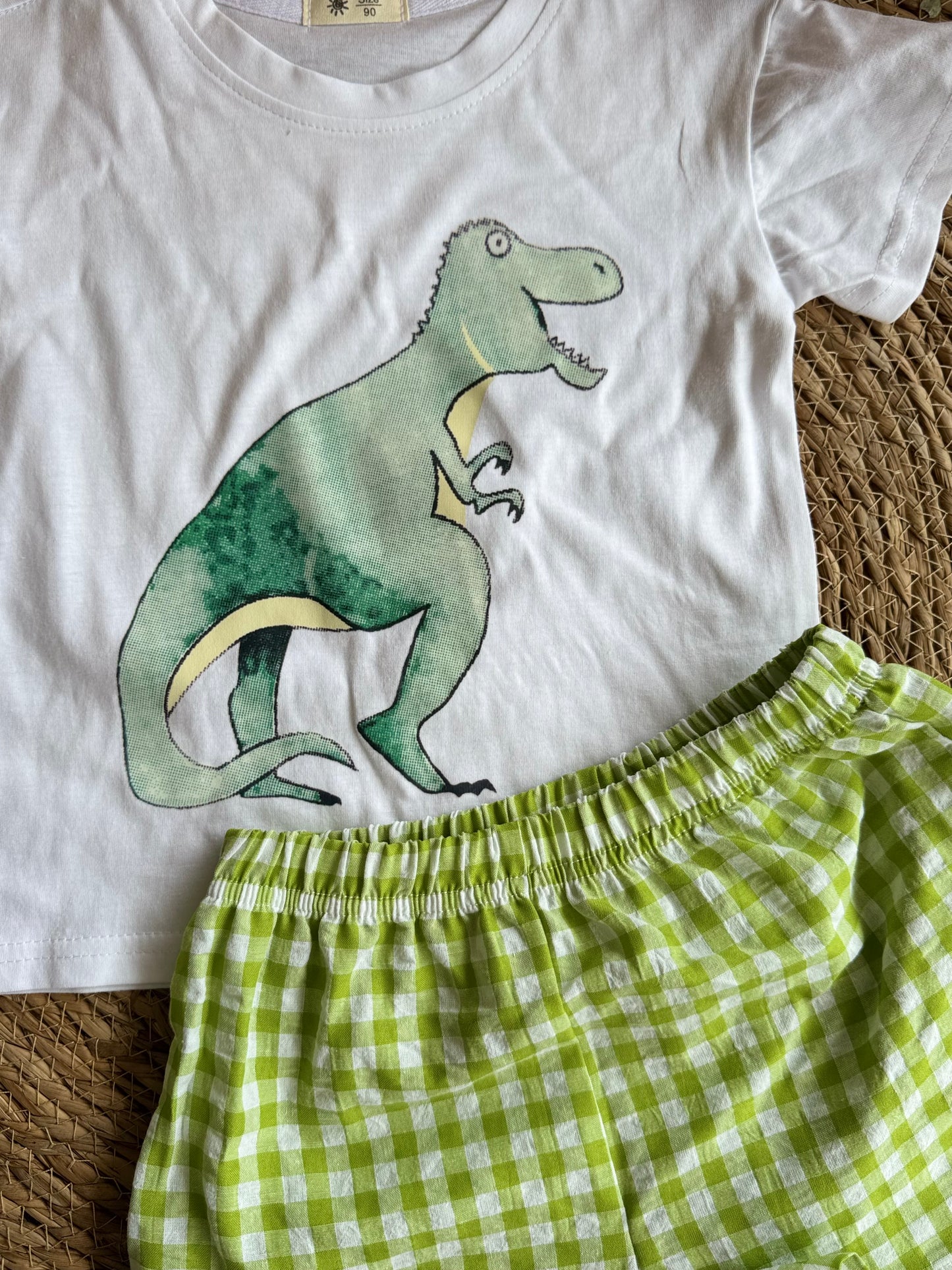 Dino set