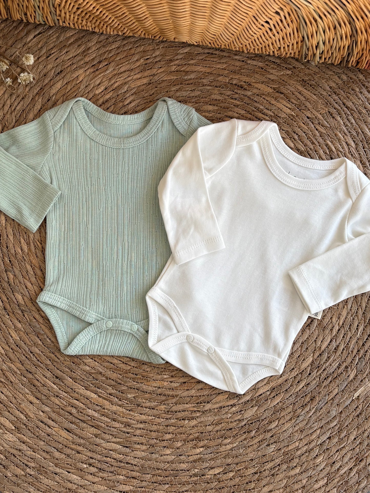 Crocodile Set of 2bodies