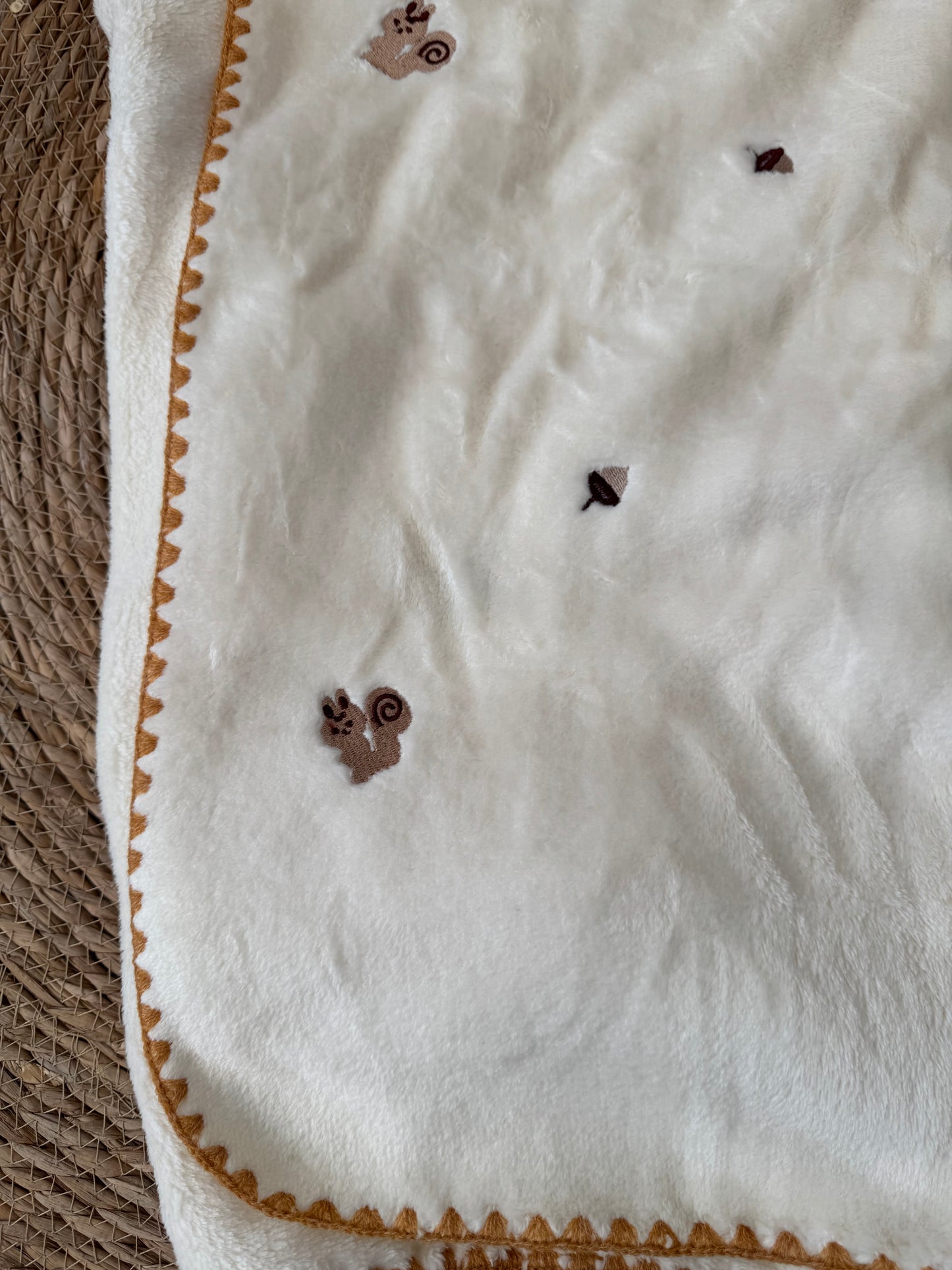 Squirrel Velvet Blanket