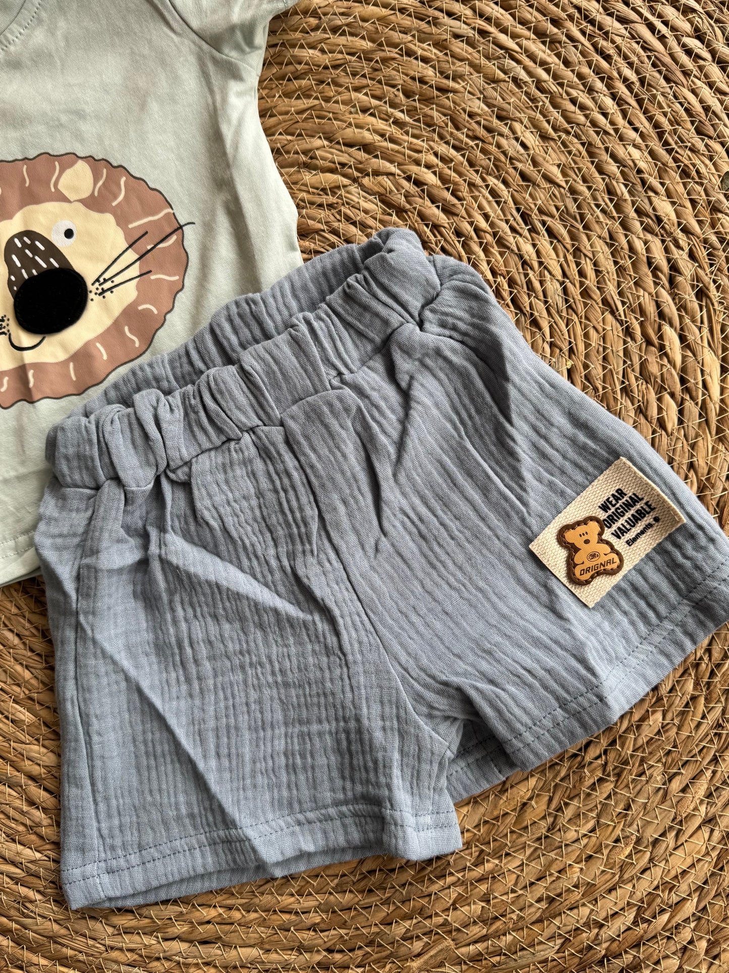 Lion blue set