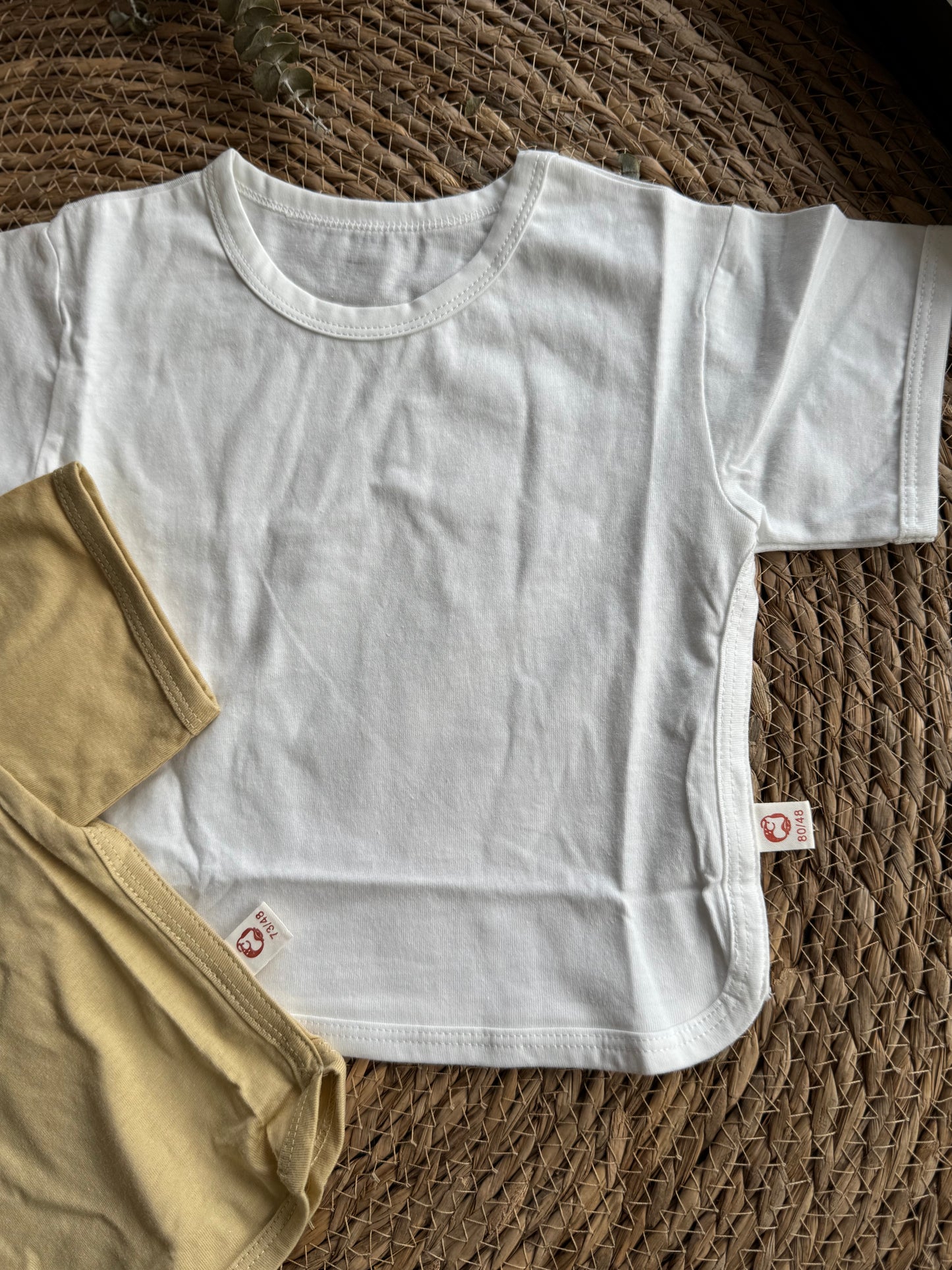 Basic cotton T-shirt