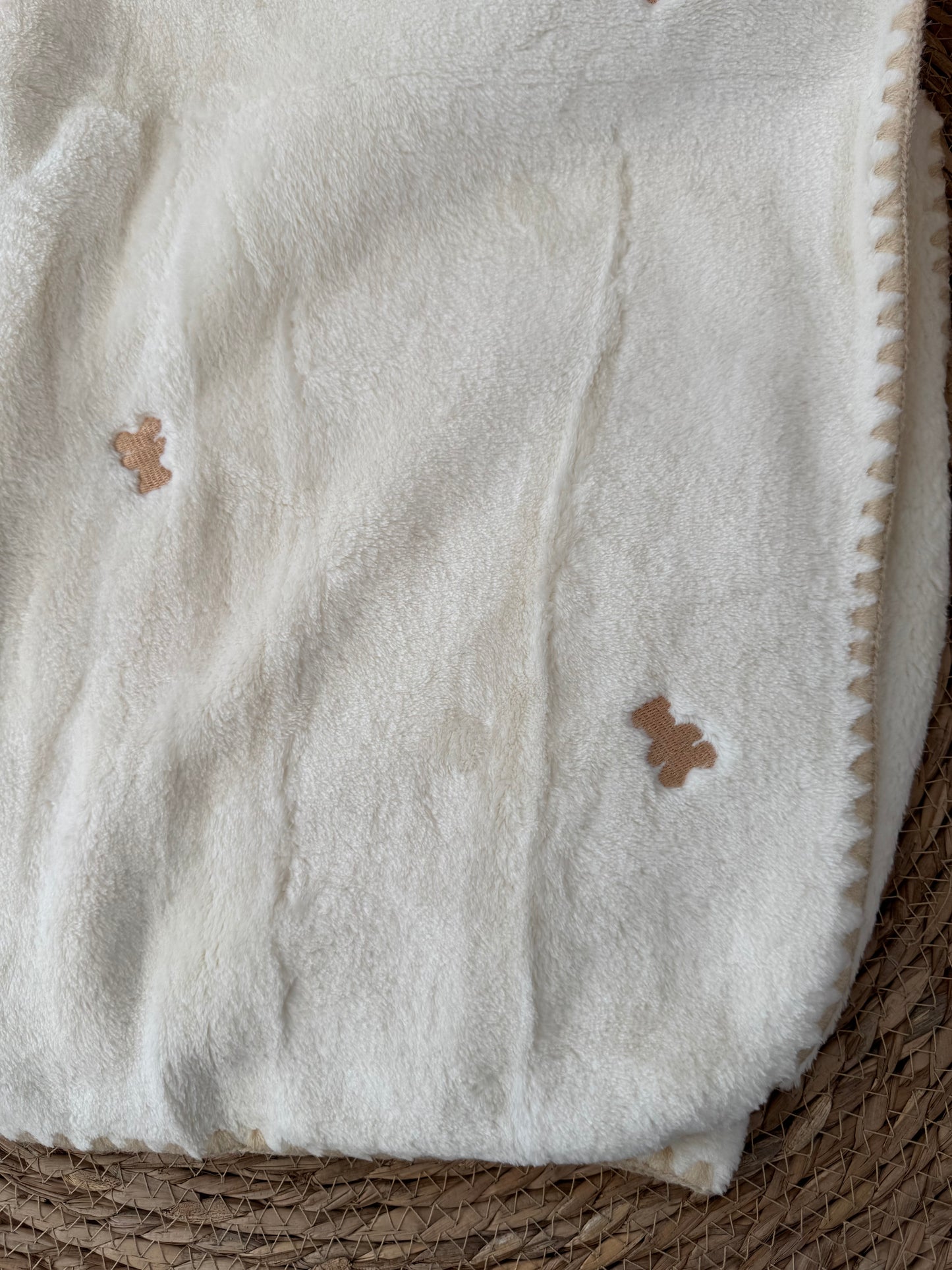 Teddy Bear Velvet Blanket