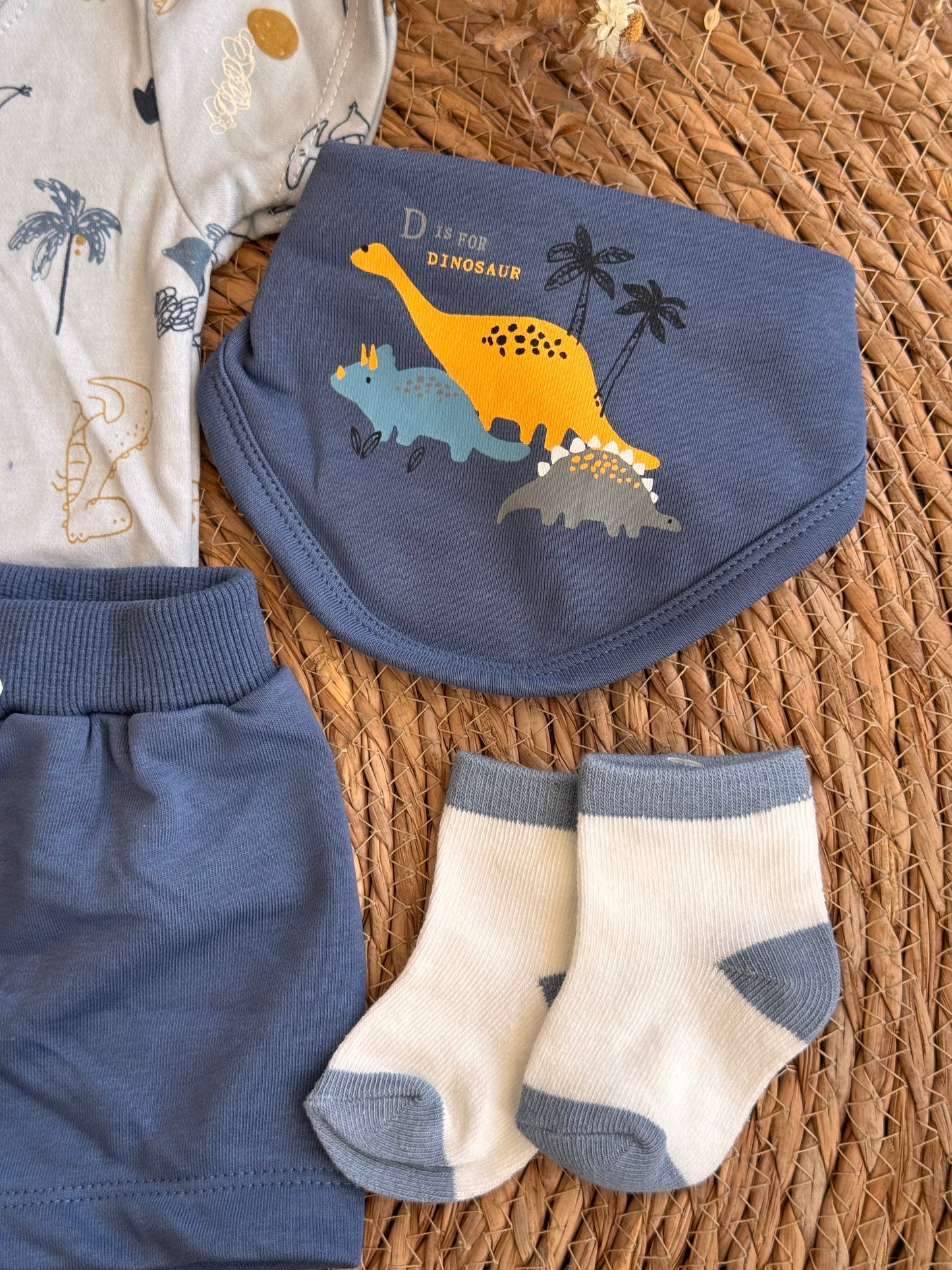 Little Dino Set of 4pcs