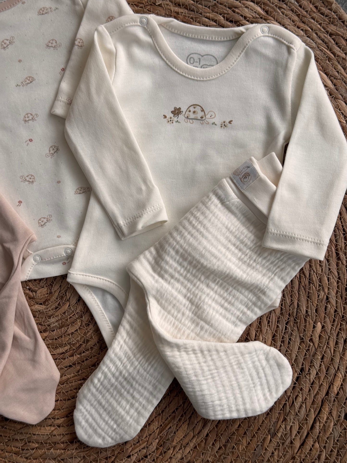 Tiny Turtles Essentials Set of 2 bodeis and 2 pants π’