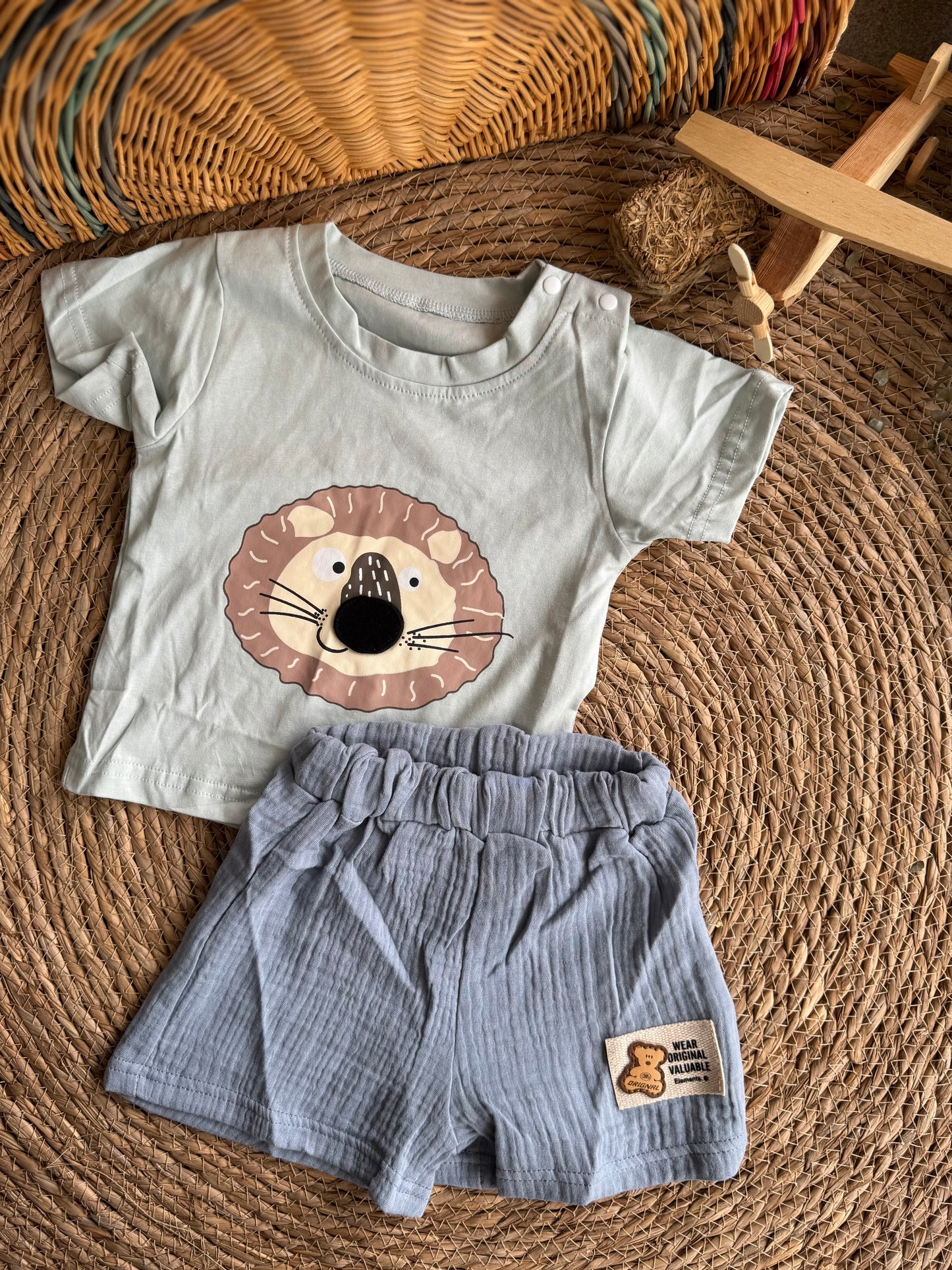 Lion blue set