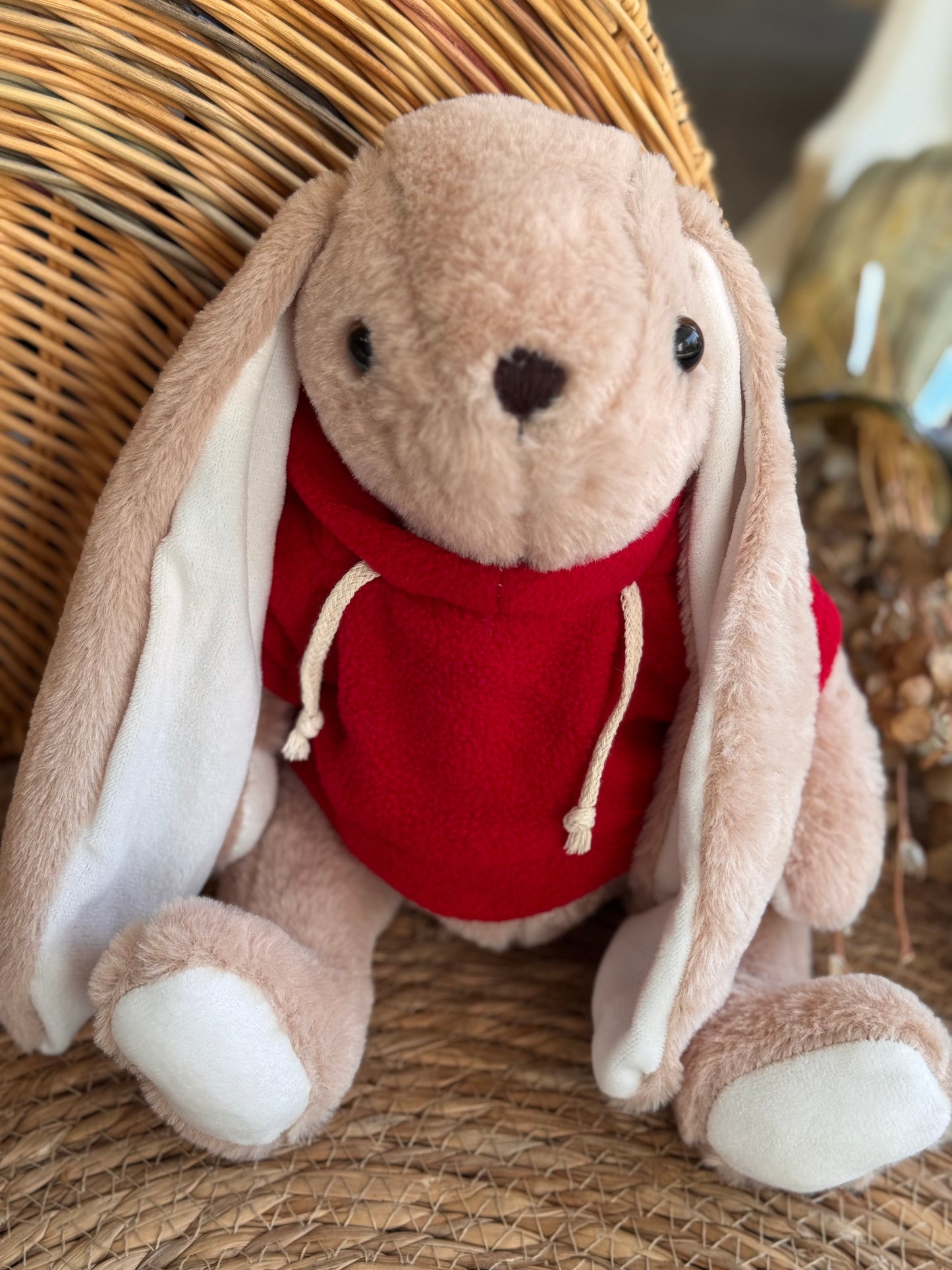 Lou Bunny -Red Hoodie