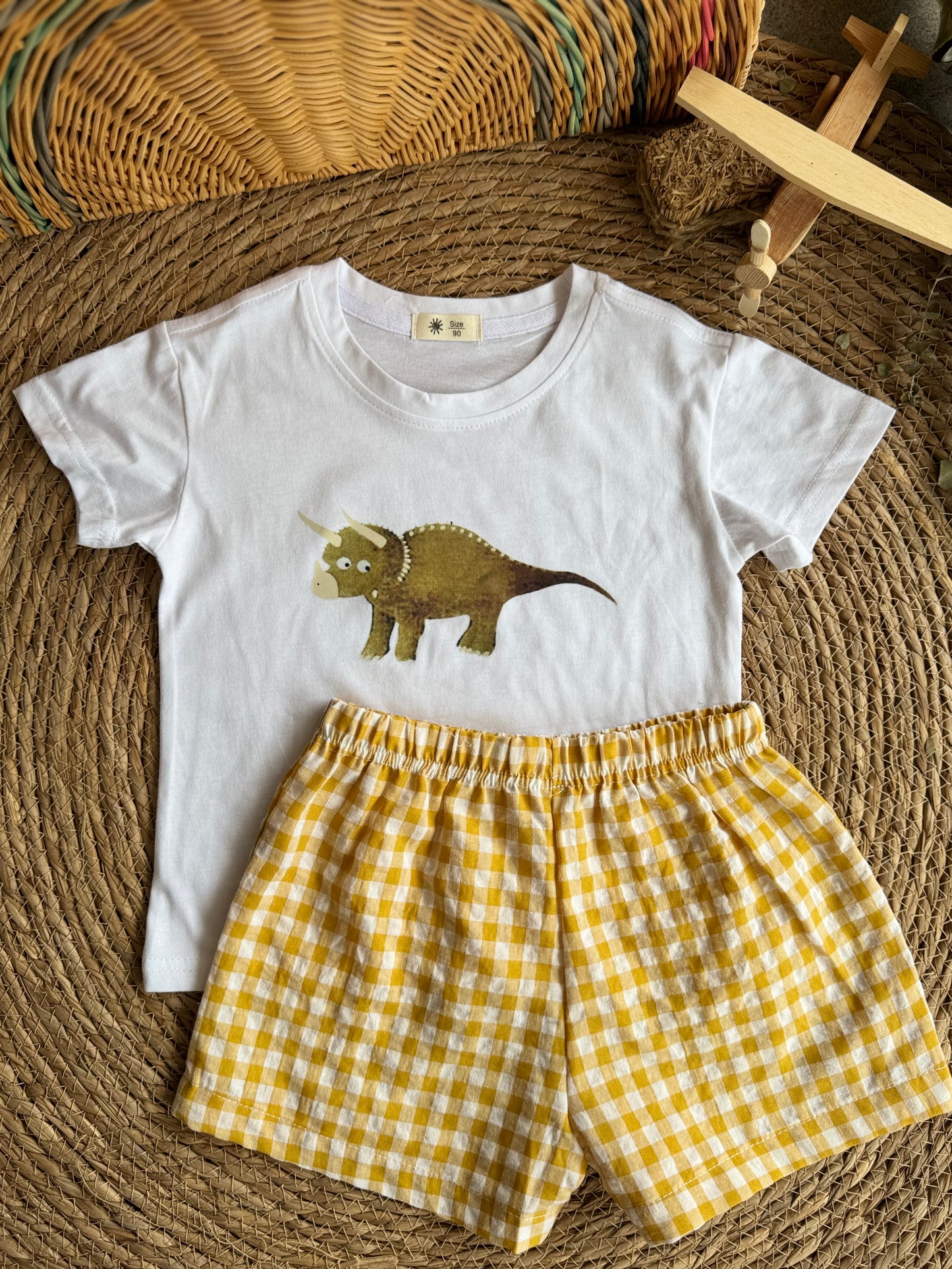 Dino set