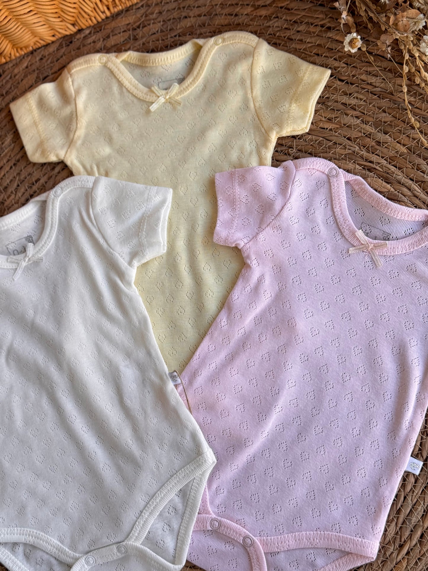 Pastel Petal Bodysuit of 3pcs
