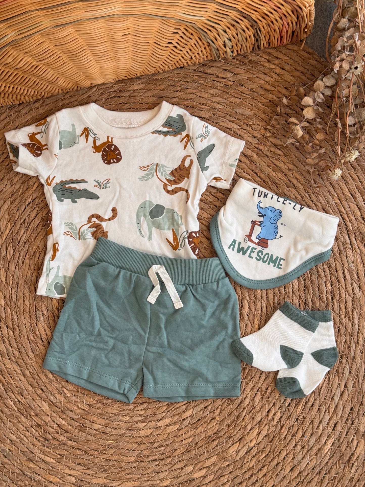 Safari Adventure Set of 4pcs