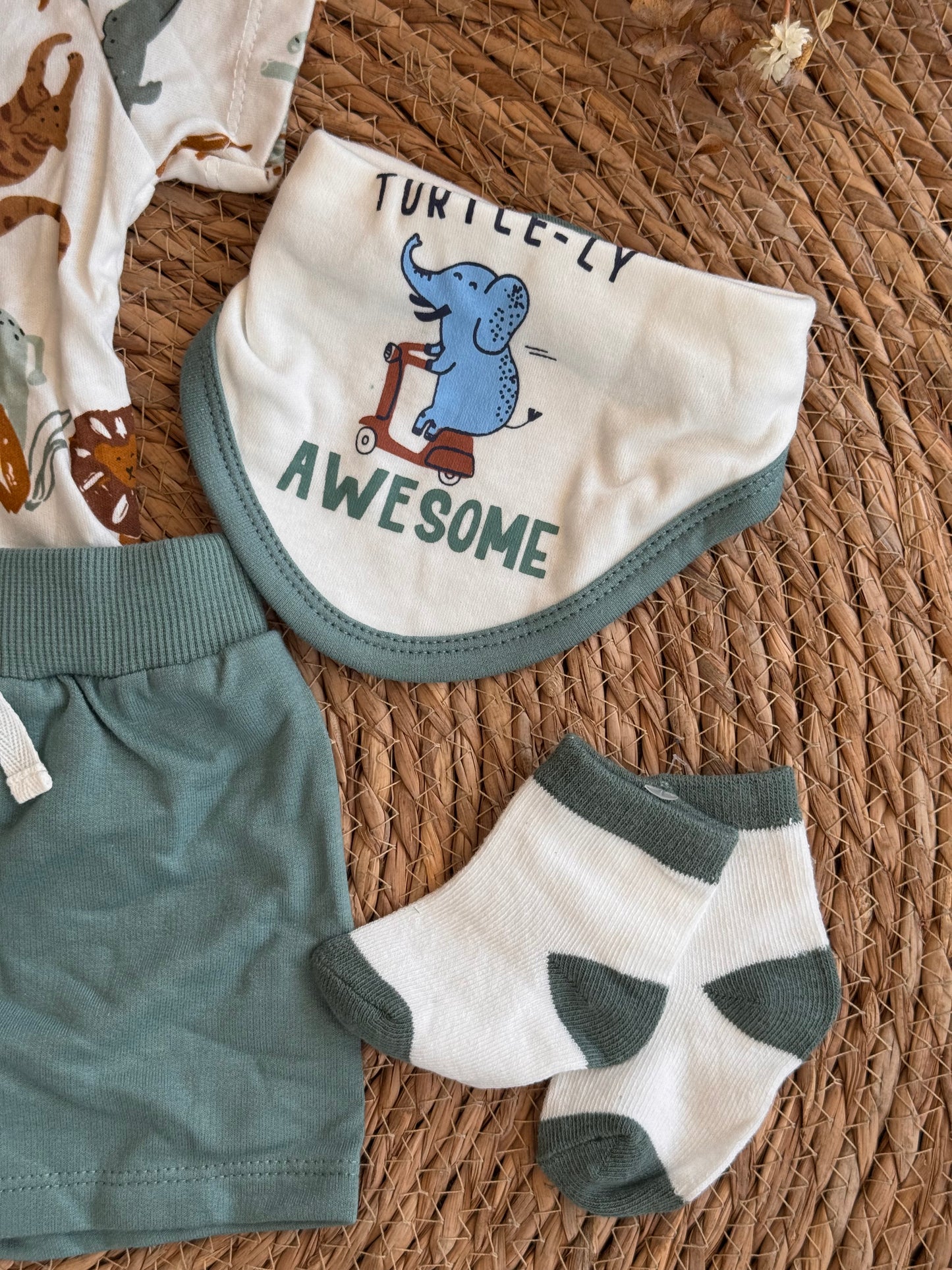 Safari Adventure Set of 4pcs