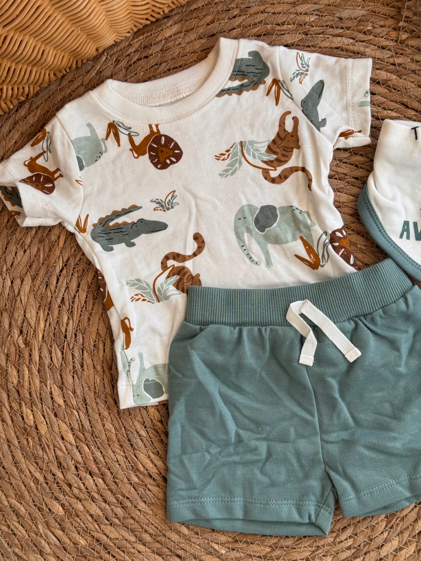 Safari Adventure Set of 4pcs