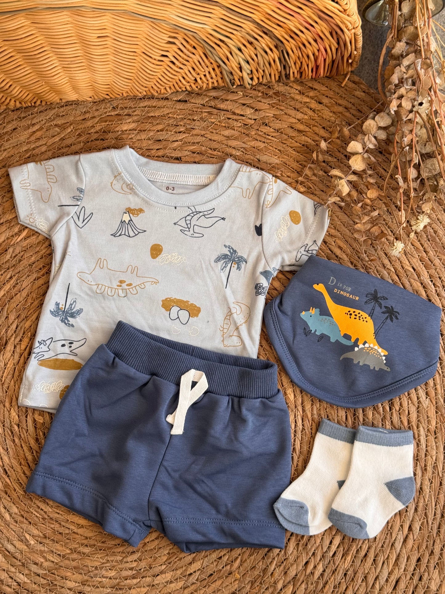 Little Dino Set of 4pcs