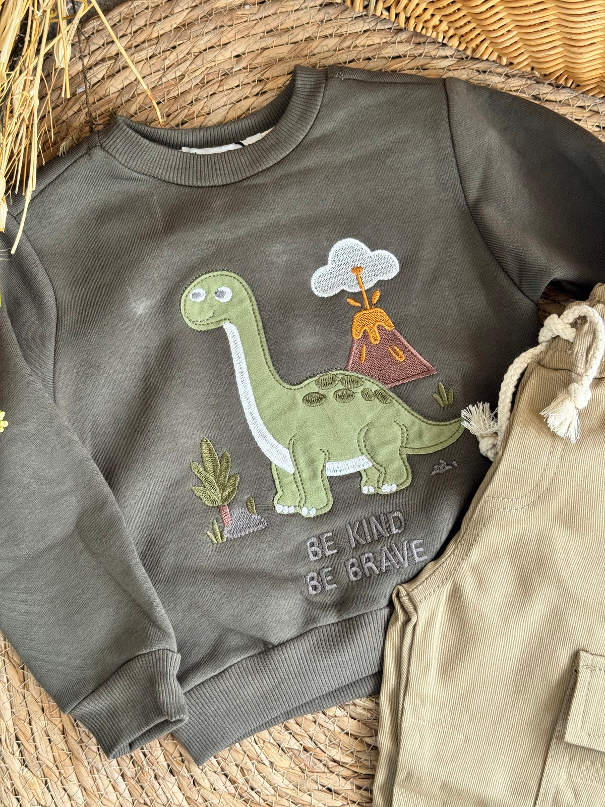 Dino Set