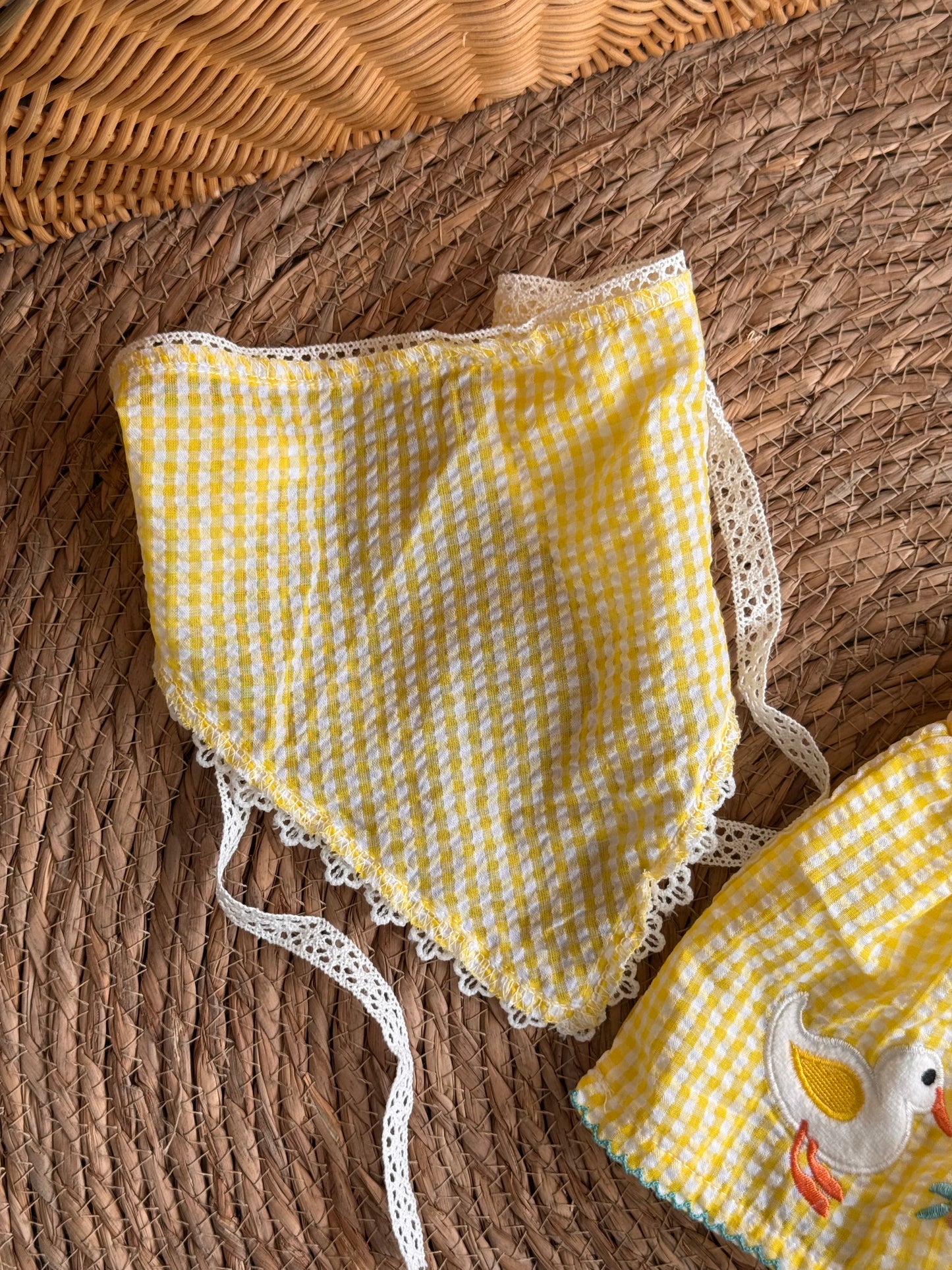 Sunny Duck Garden Set