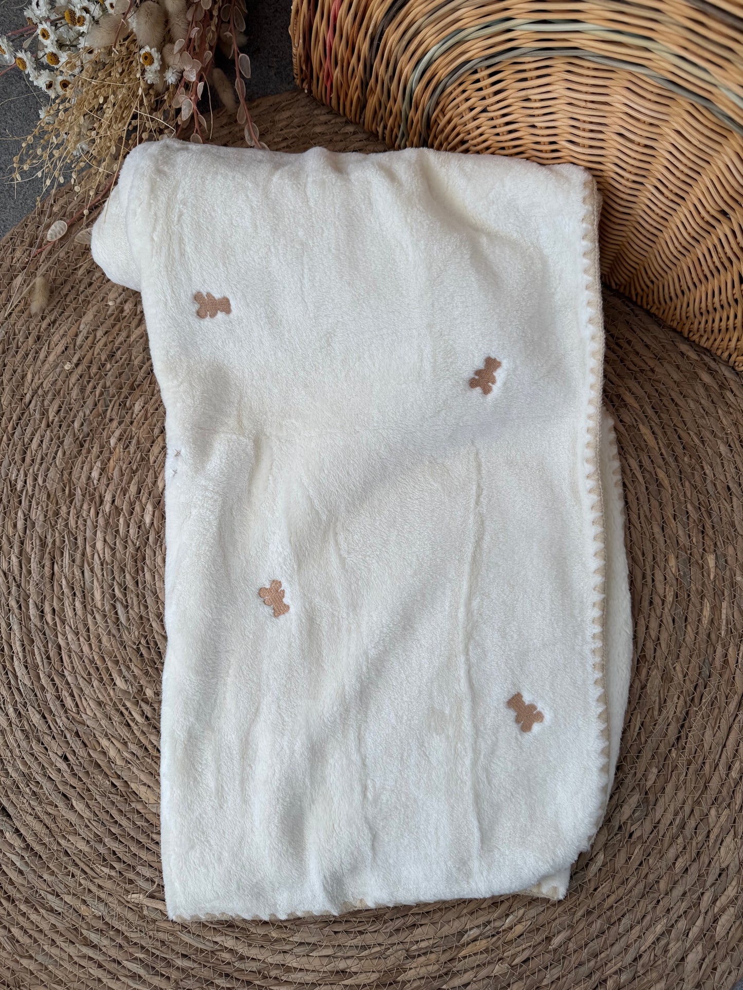 Teddy Bear Velvet Blanket