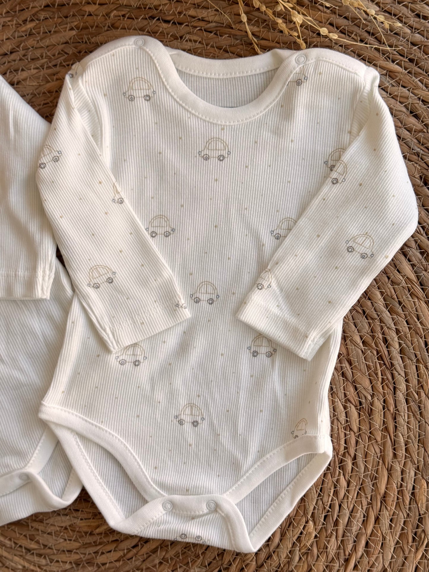 Little Explorer Ribbed Bodysuit Set of 2pcs