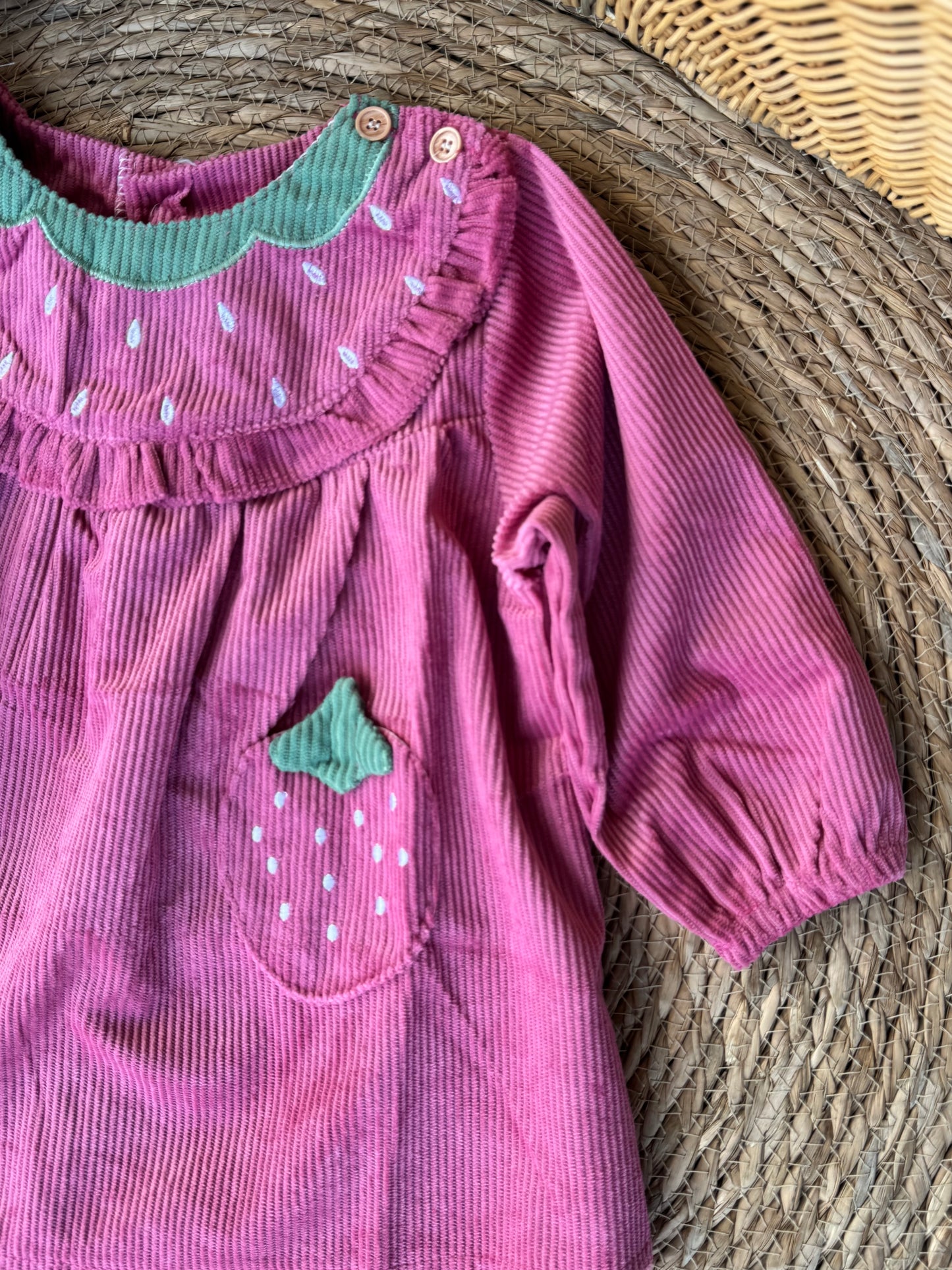 Strawberry Velvet Dress