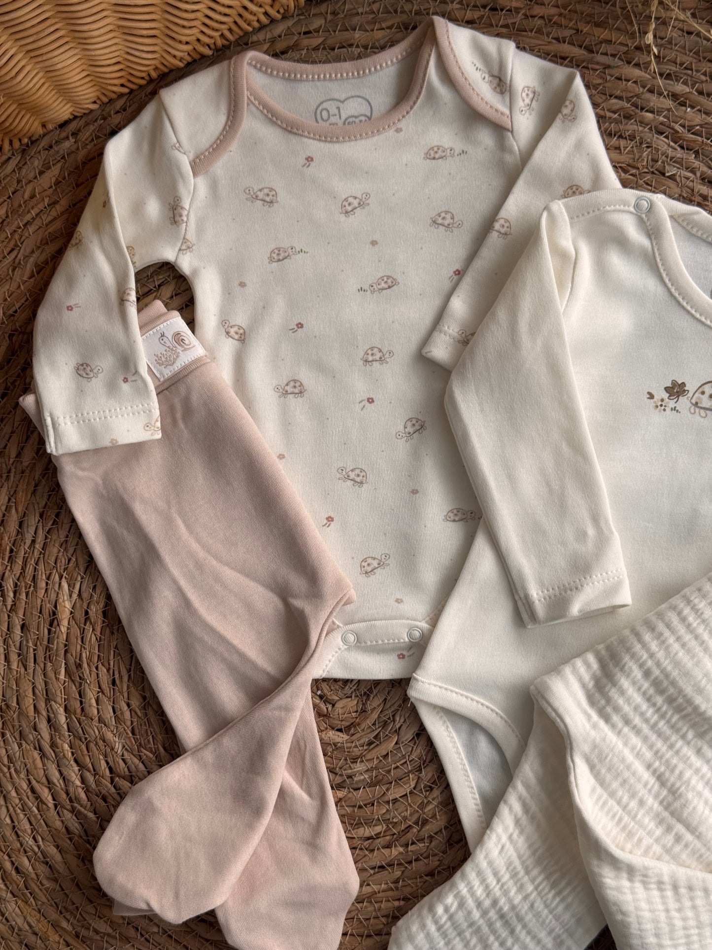 Tiny Turtles Essentials Set of 2 bodeis and 2 pants 🐢