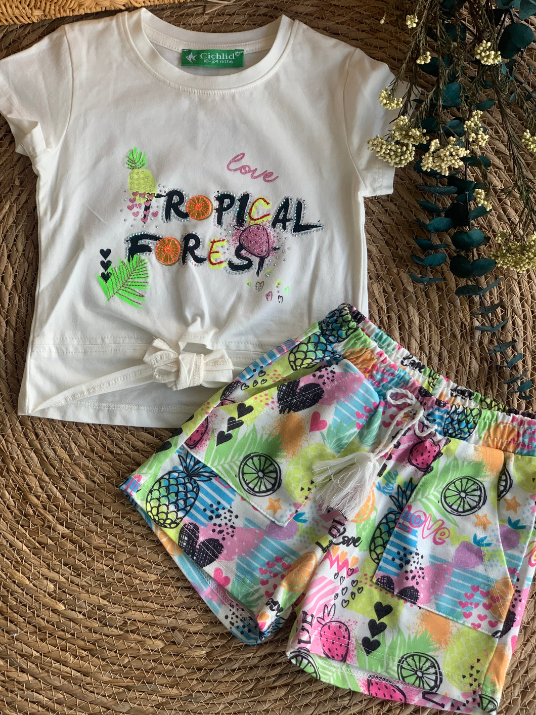 Tropical Forest Set