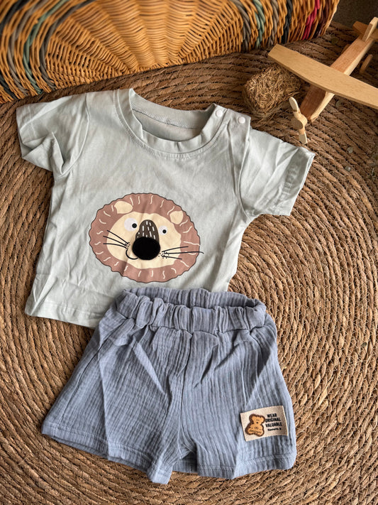 Lion blue set
