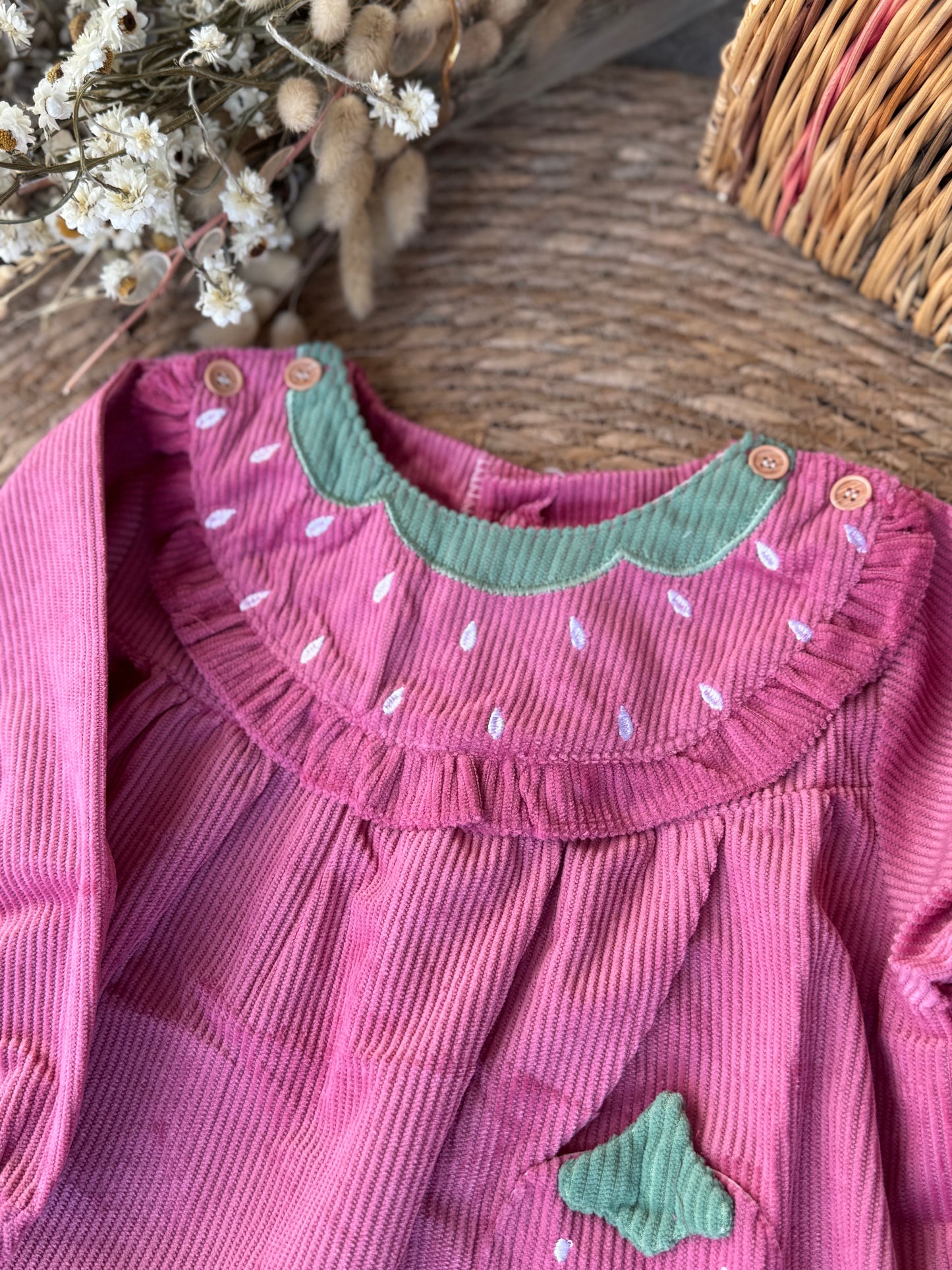 Strawberry Velvet Dress