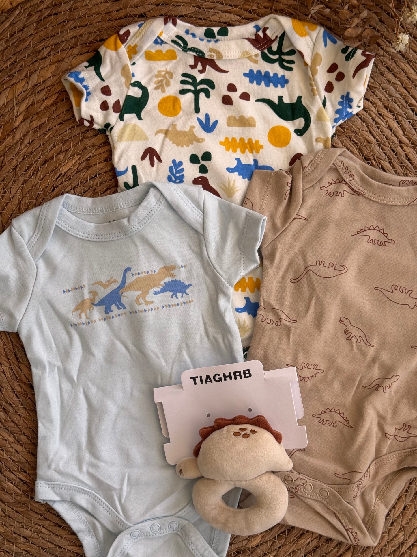 Dinosaur Bodies of 4pcs