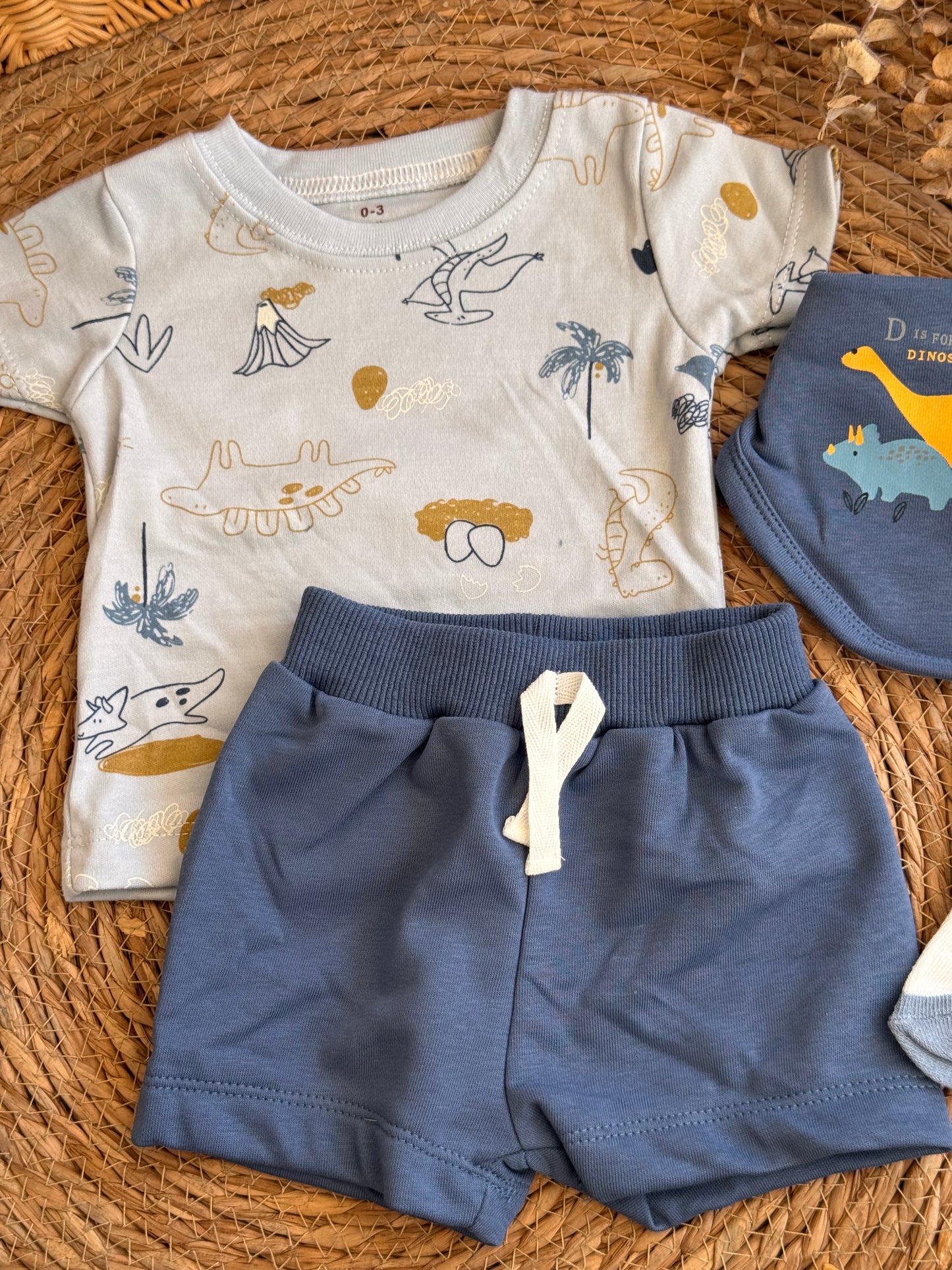 Little Dino Set of 4pcs