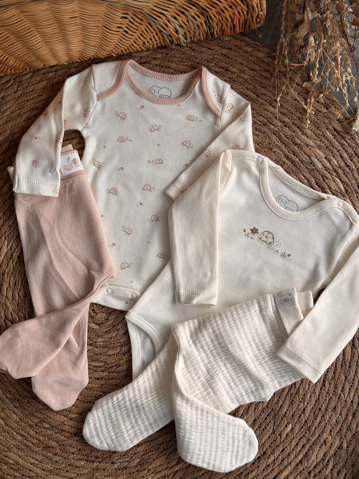 Tiny Turtles Essentials Set of 2 bodeis and 2 pants 🐢