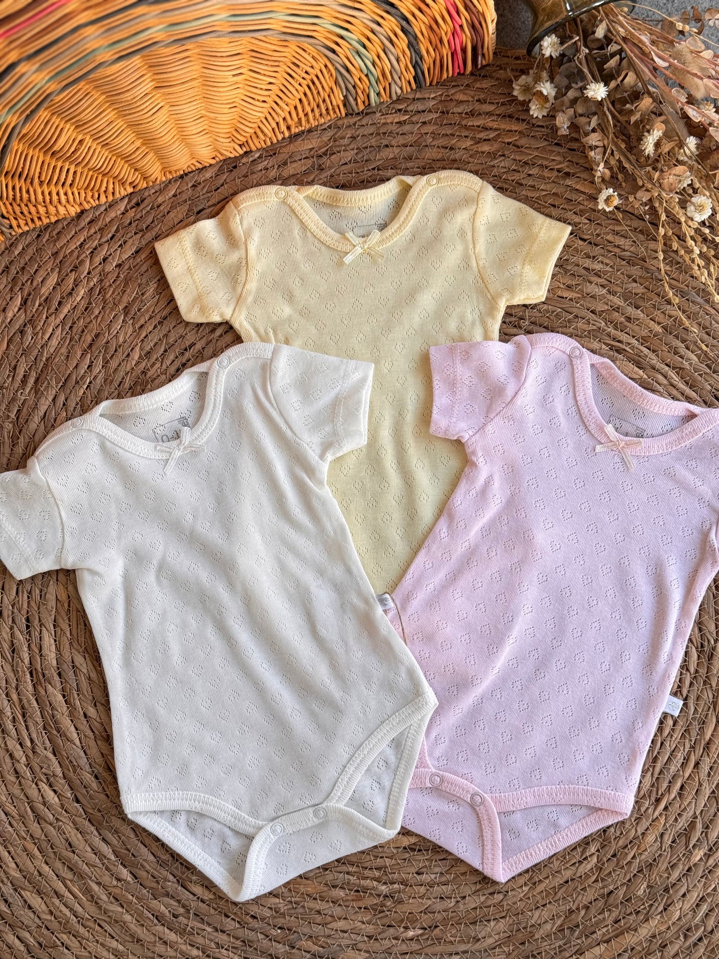 Pastel Petal Bodysuit of 3pcs