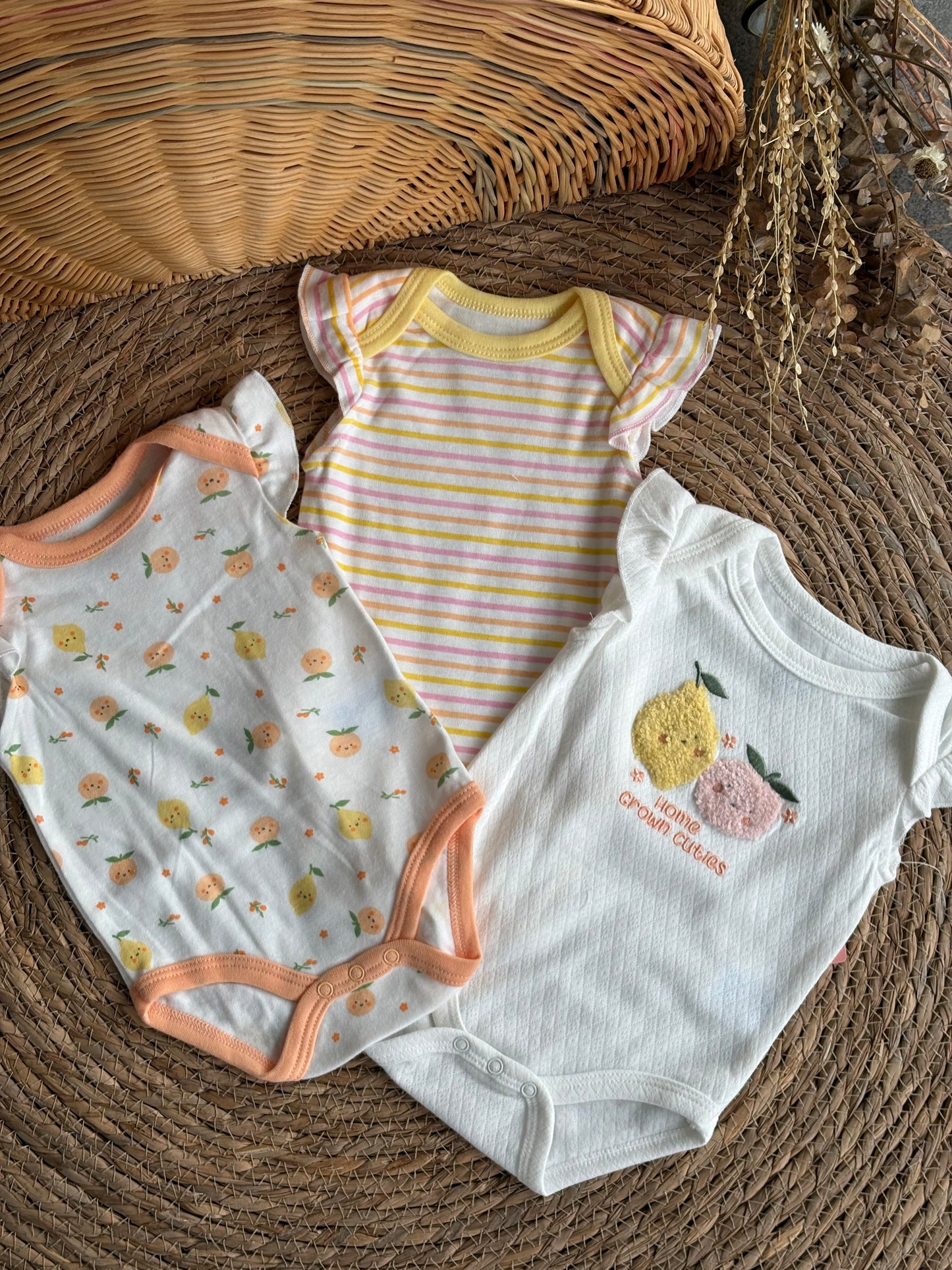 Lemon bodies of 3pcs