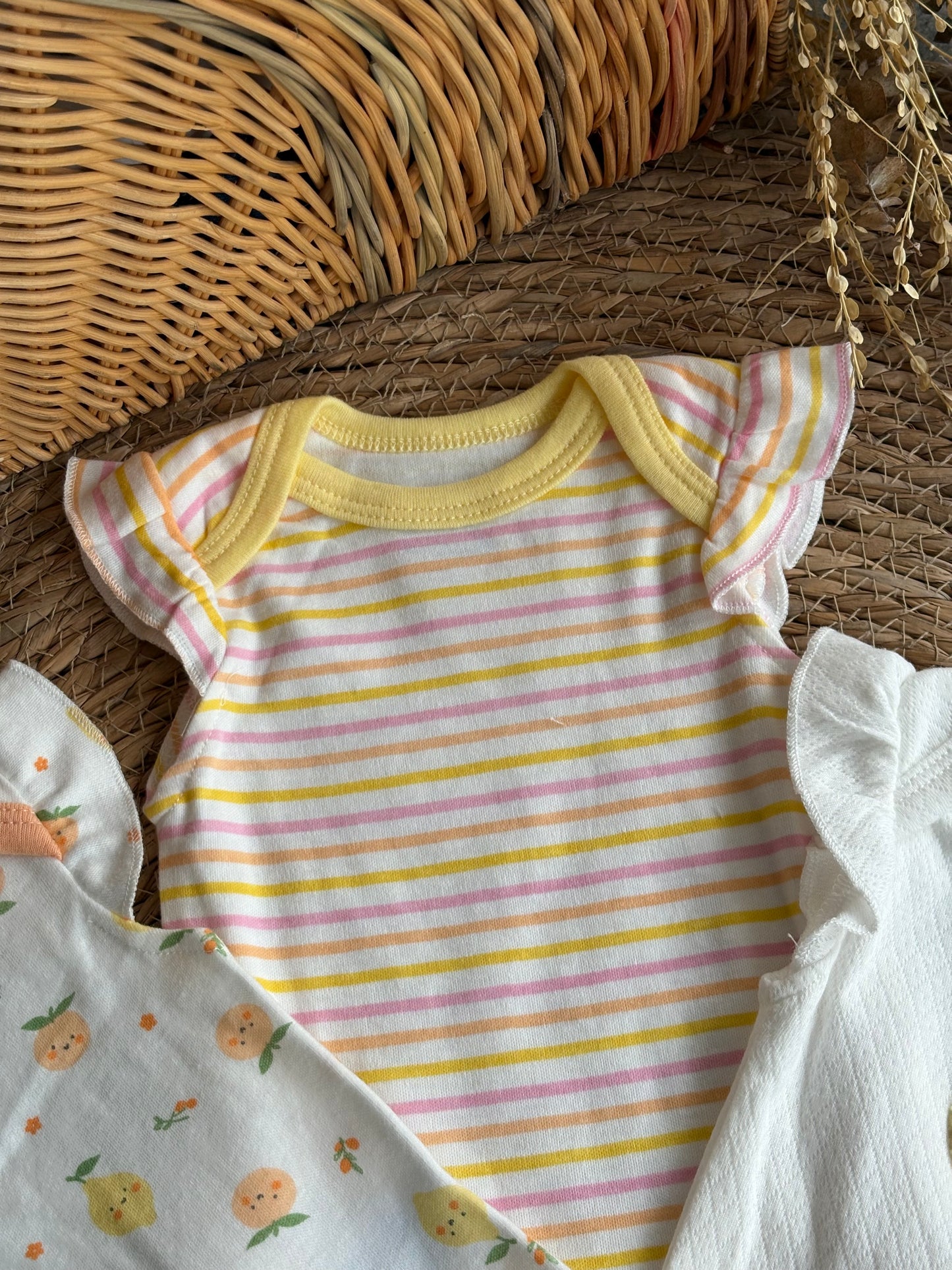 Lemon bodies of 3pcs