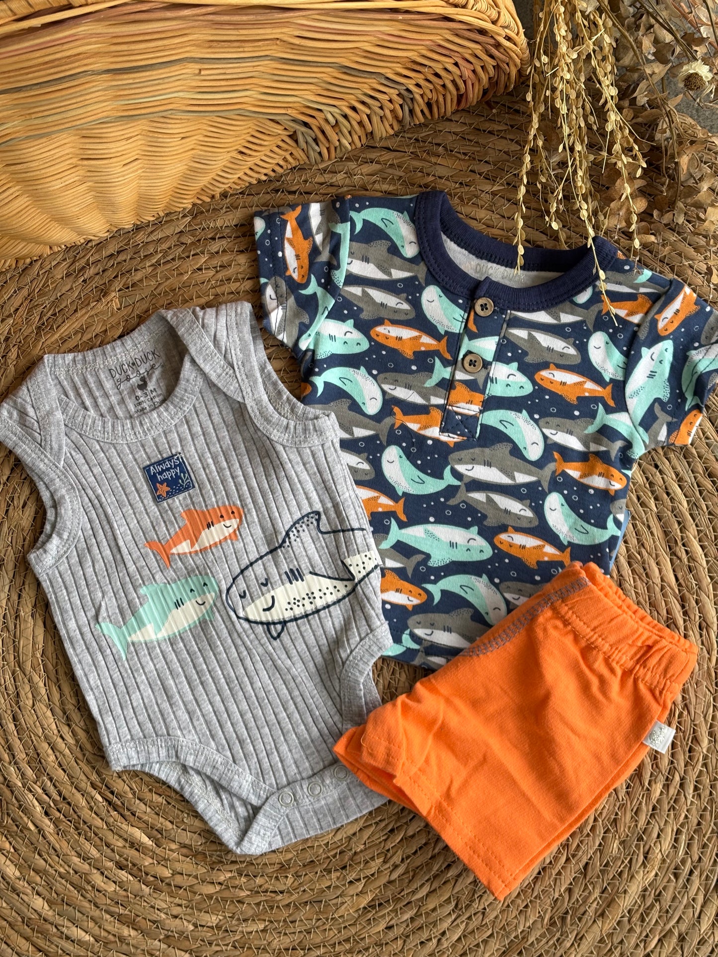 Shark Set of 3pcs