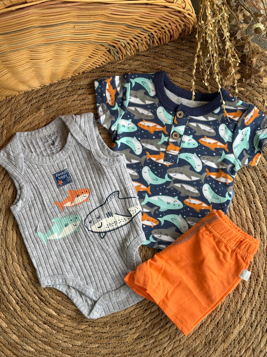 Shark Set of 3pcs