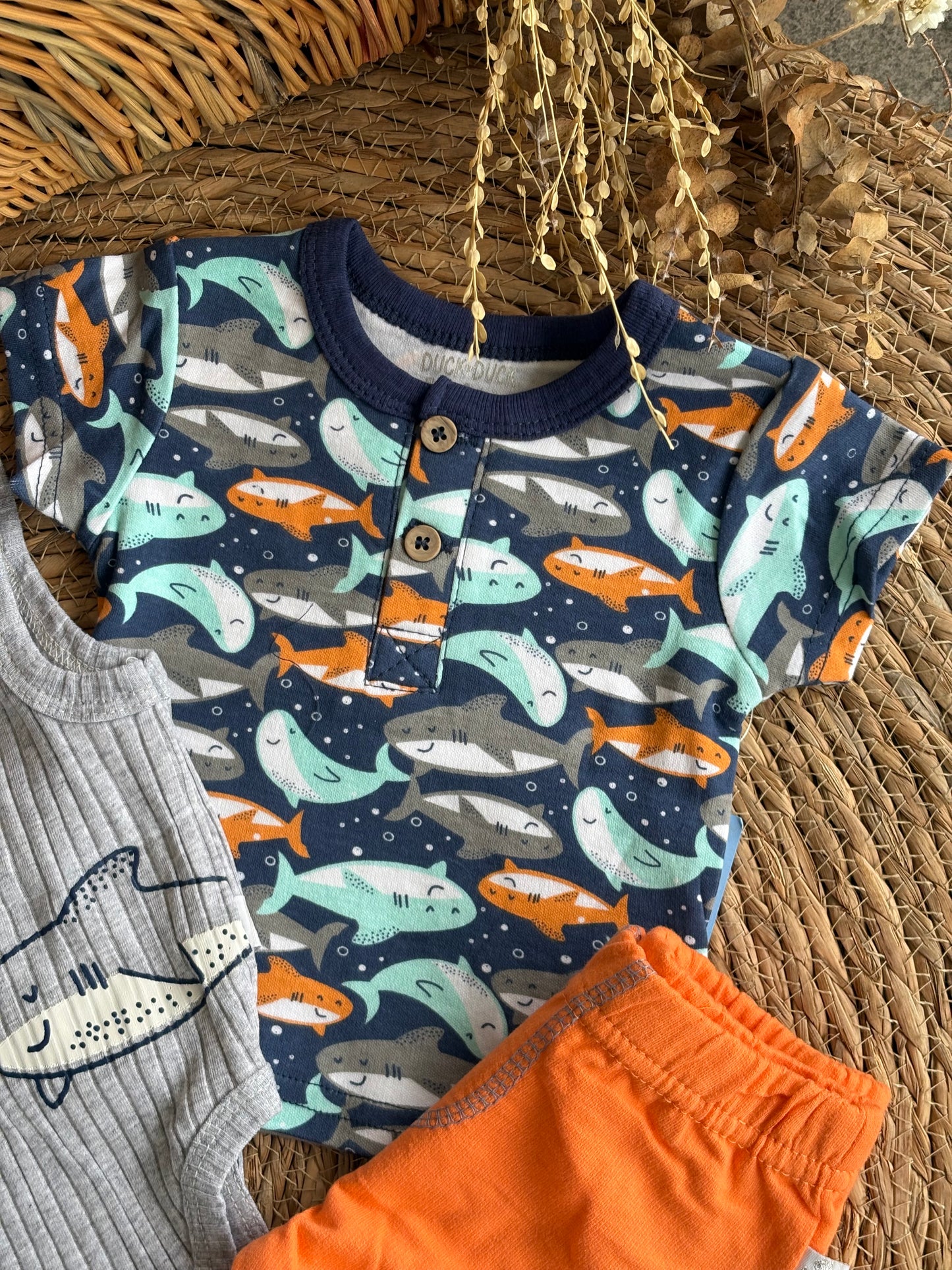 Shark Set of 3pcs