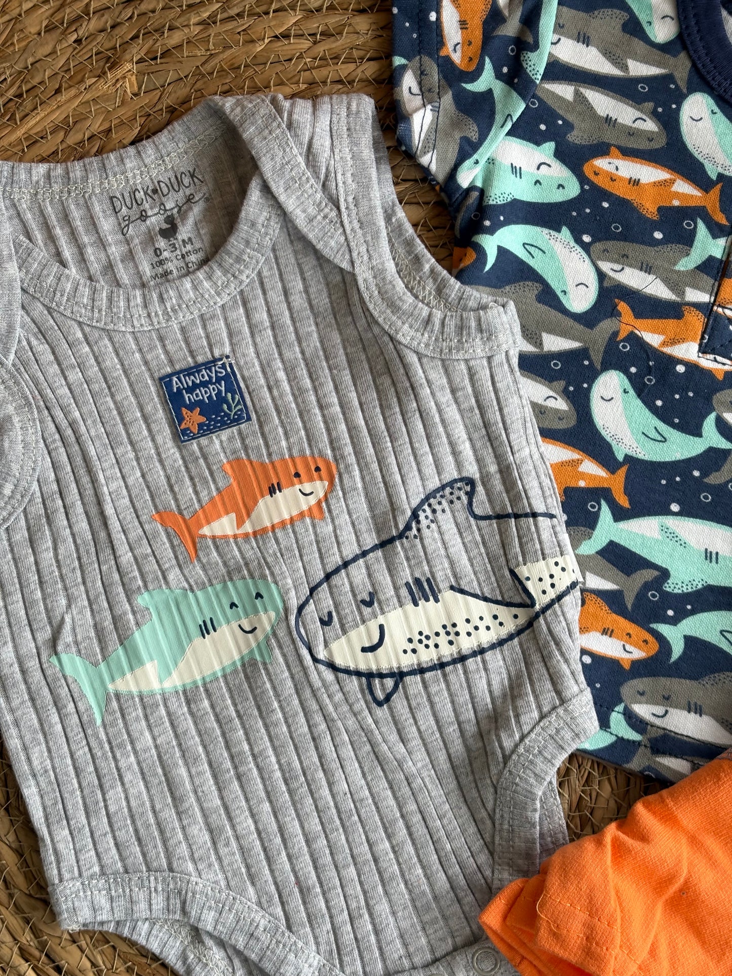 Shark Set of 3pcs
