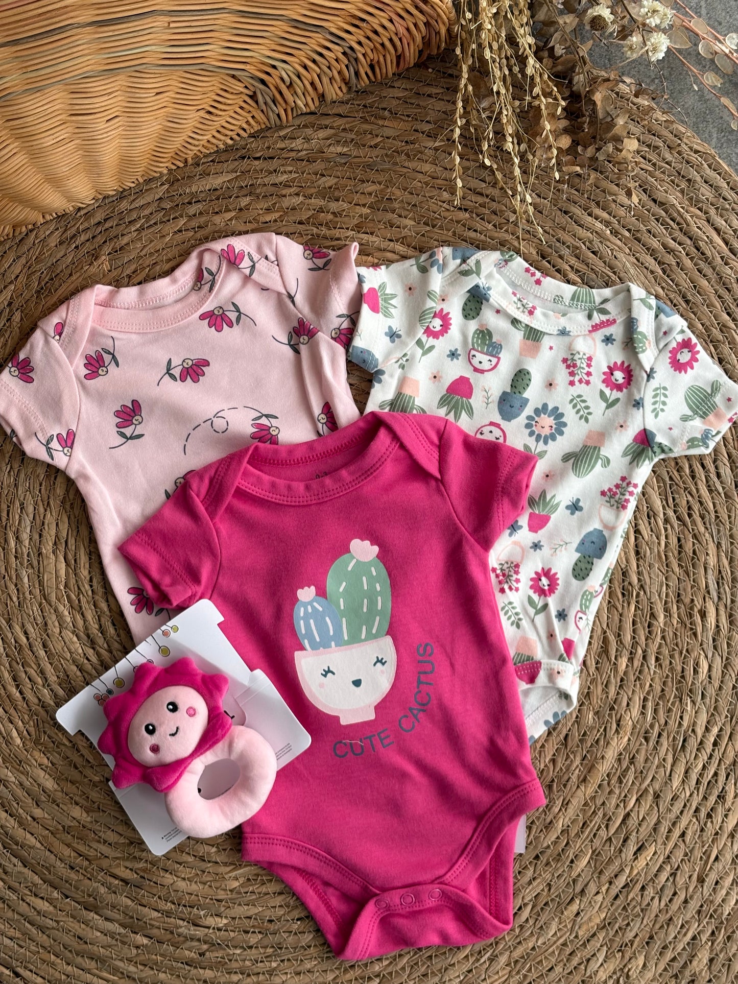 Cactus bodies of 4pcs