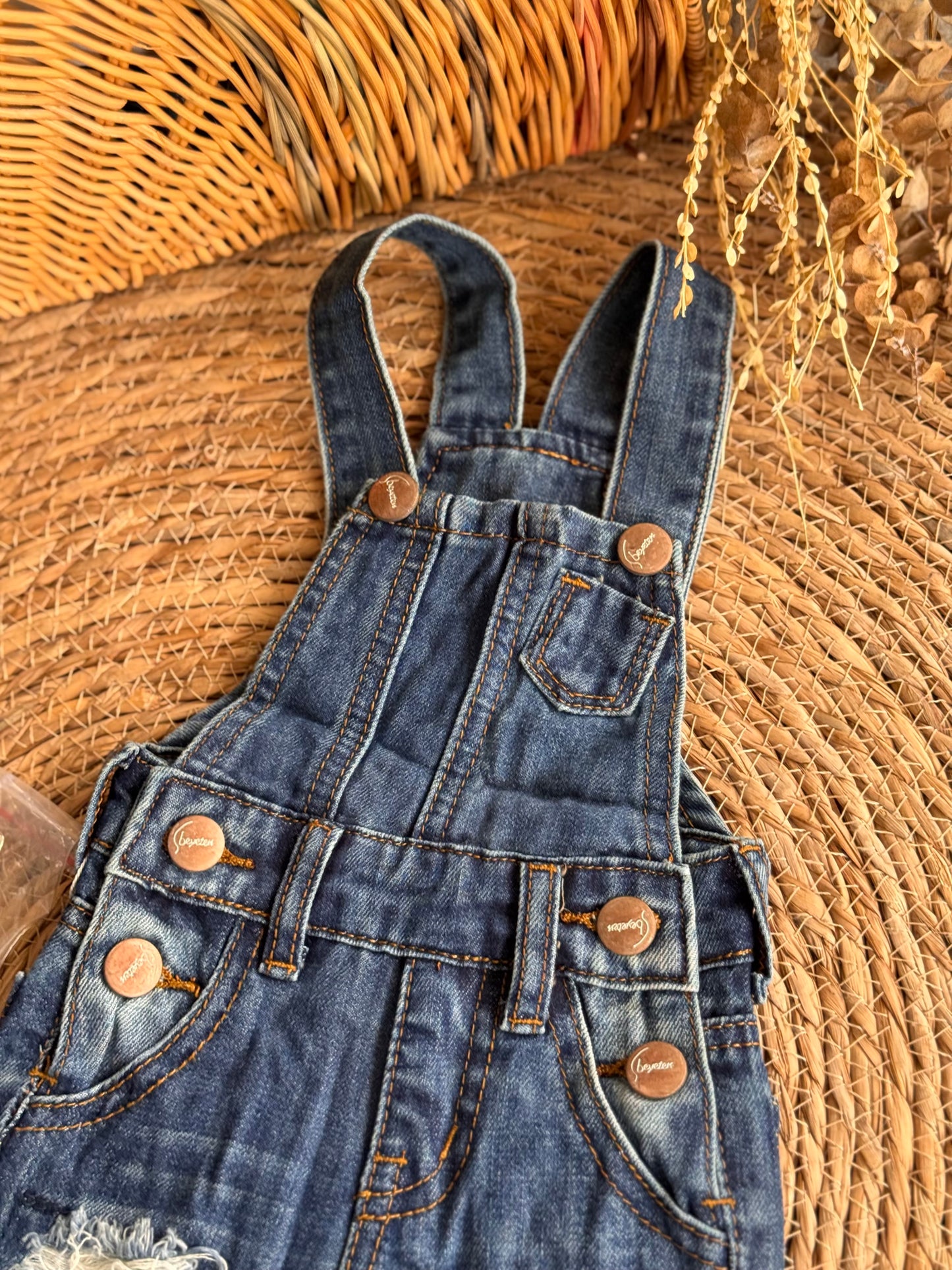 Wild & Free Distressed Denim Overalls