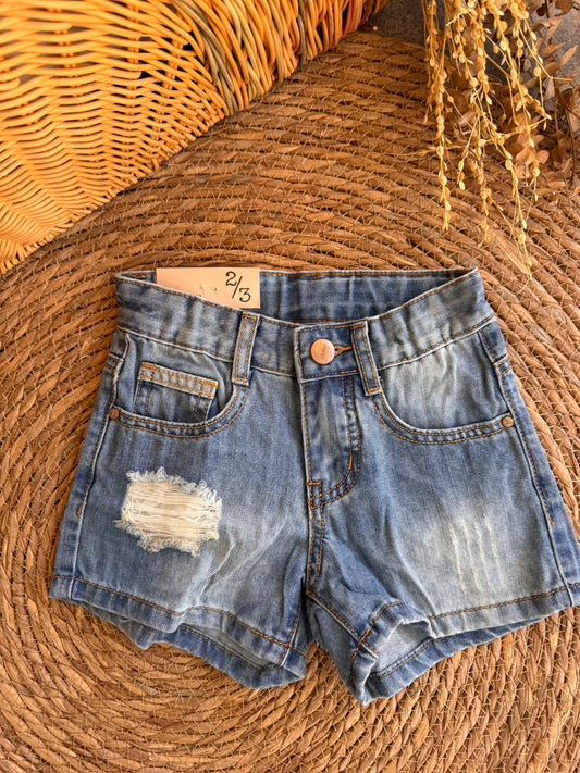Mini Edge Denim Shorts