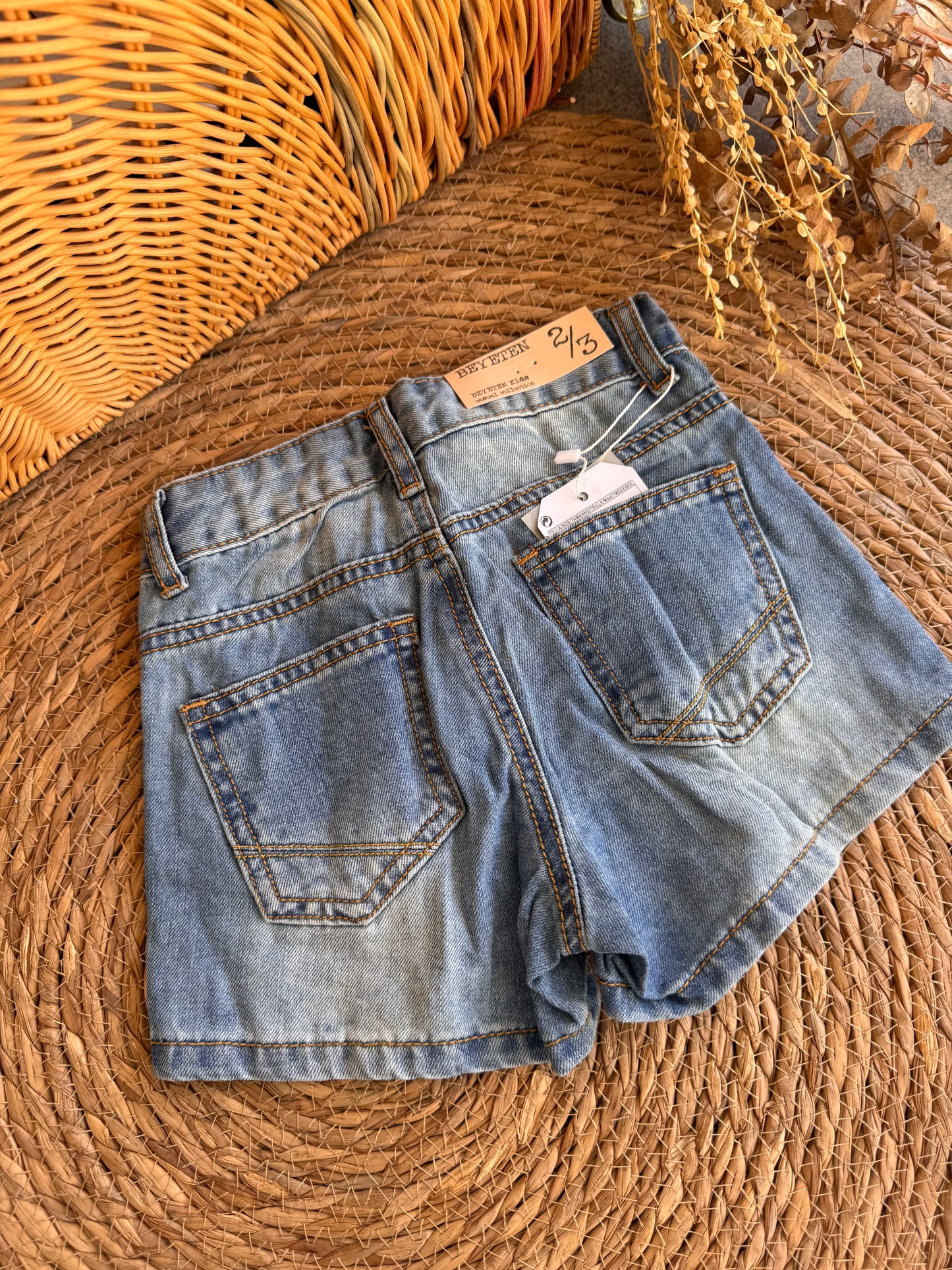 Mini Edge Denim Shorts