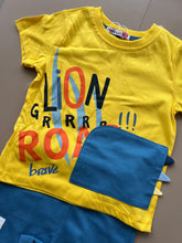 Load image into Gallery viewer, Lion roar set-yellow
