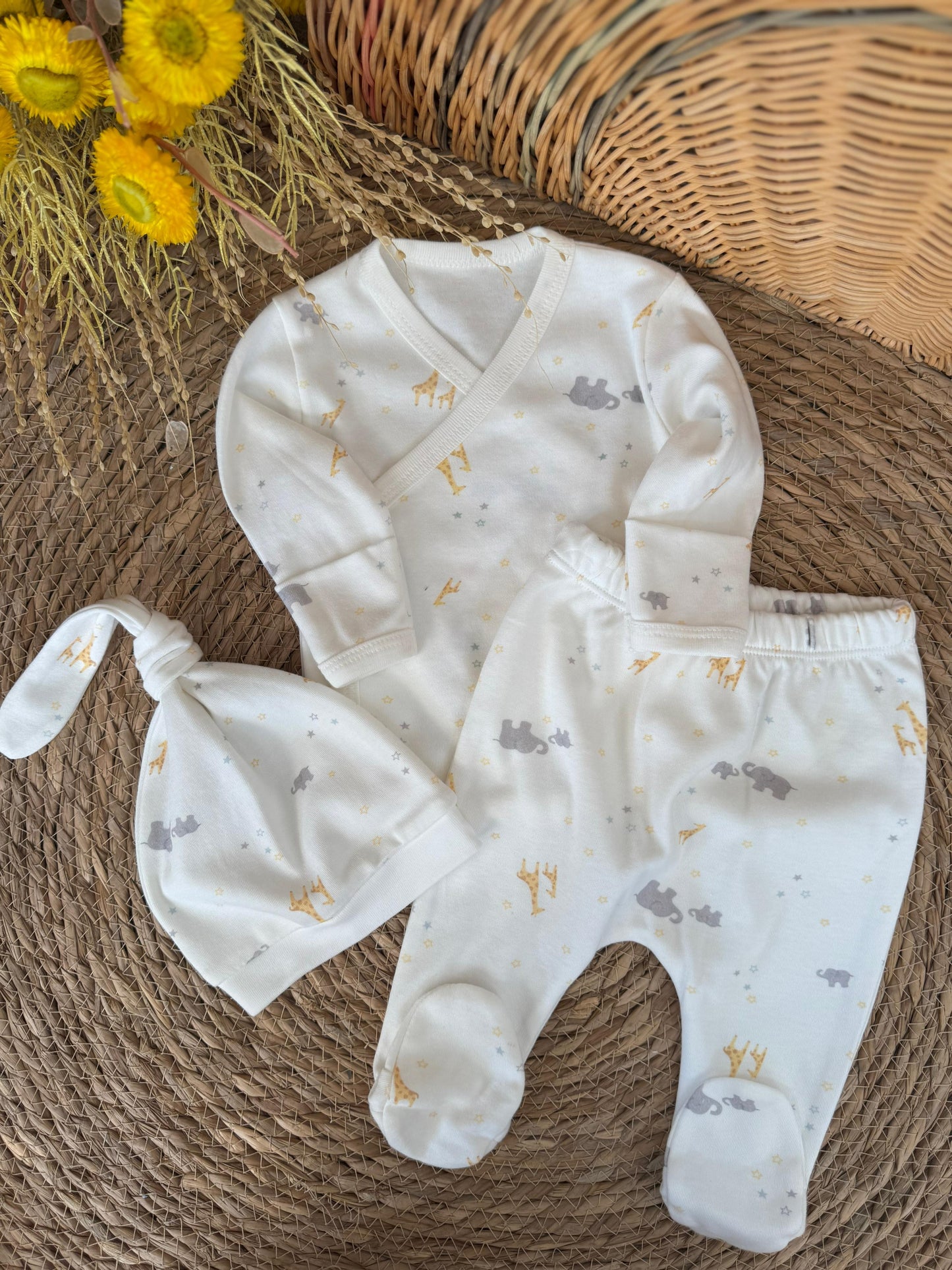 Leo Hospital Set of 3pcs